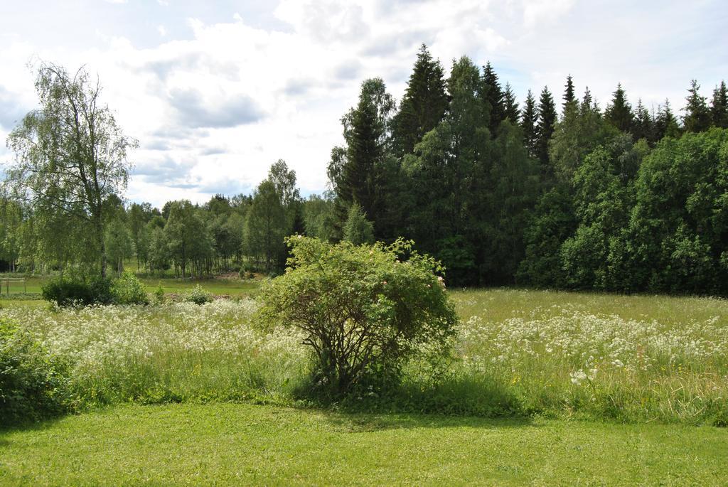 Orsastuguthyrning-Oljonsbynヴィラ エクステリア 写真